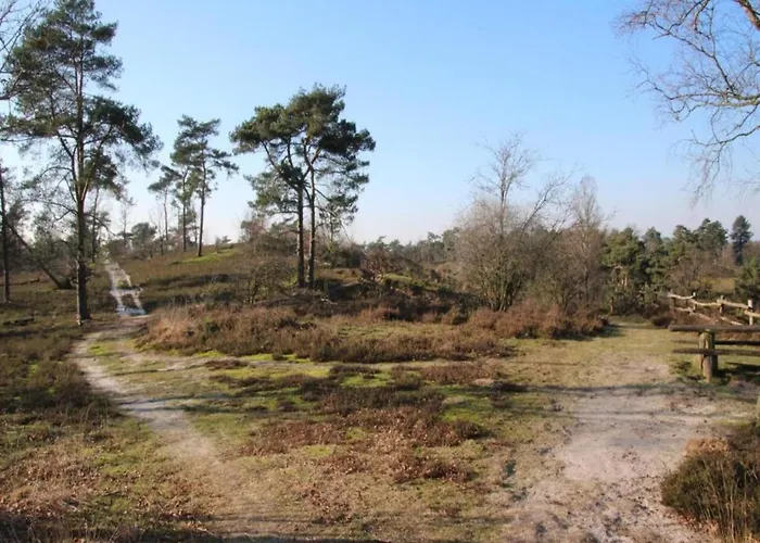 Chalet By And Harbor With Terrace *