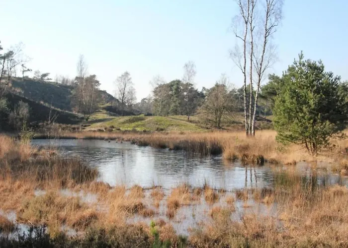 By And Harbor With Terrace