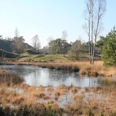 By And Harbor With Terrace